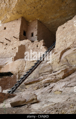 La maison longue falaise en séjour à Mesa Verde National Park Banque D'Images