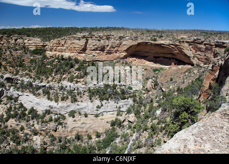 La maison longue falaise en séjour à Mesa Verde National Park Banque D'Images