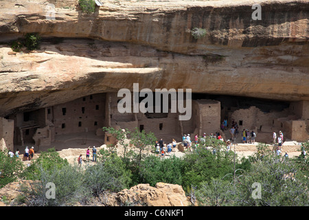 Maison de l'arbre de l'épinette cliff en séjour à Mesa Verde National Park Banque D'Images