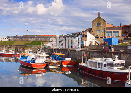 Largs, Northumberland, Angleterre. Excursion de pêche et de bateaux dans le port. Banque D'Images