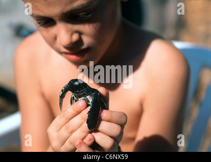 Un jeune garçon est titulaire d'un mineur, la tortue imbriquée (Eretmochelys imbricata). L'observatoire sous-marin d'Eilat Parc Marin, Eilat, Israel Banque D'Images