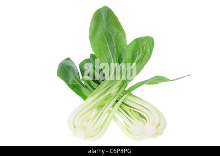 Bok Choy Banque D'Images