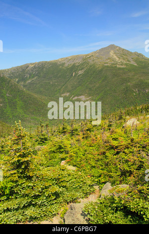 Grand Désert du Golfe, Chandler Brook Trail et Great Gulf avec Sentier Appalachian Trail et le Mont Adams, les montagnes Blanches, NH, US Banque D'Images