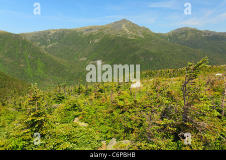 Grand Désert du Golfe, Chandler Brook Trail et Great Gulf avec Sentier Appalachian Trail et le Mont Adams, les montagnes Blanches, NH, US Banque D'Images