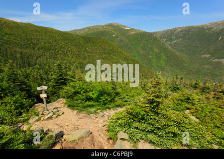 Grand Désert du Golfe, Chandler Brook Trail et Great Gulf avec Sentier Appalachian Trail et Mount Jefferson, les montagnes Blanches, NH Banque D'Images