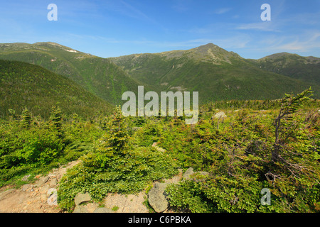 Grand Désert du Golfe, Chandler Brook Trail et Great Gulf avec Sentier Appalachian Trail et Mount Jefferson et Adams, NH, USA Banque D'Images