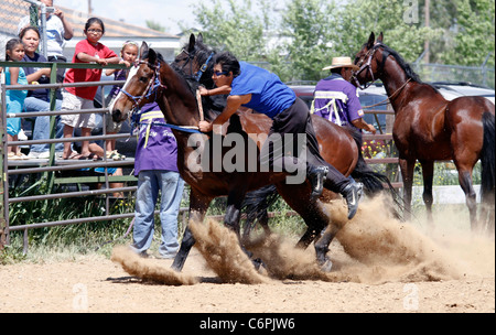 Relais indien course de chevaux qui a eu lieu au cours de l'Assemblée Shoshone-Bannock Festival tenu à Fort Hall, New York. Banque D'Images