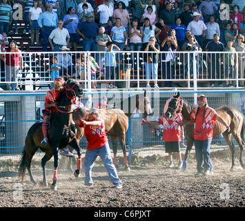 Relais indien course de chevaux qui a eu lieu au cours de l'Assemblée Shoshone-Bannock Festival tenu à Fort Hall, New York. Banque D'Images