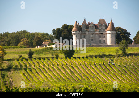 Vignes au Château Monbazillac Dordogne France Banque D'Images