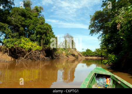 Pampas de parc national Madidi mosaïque, en Bolivie Banque D'Images