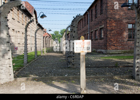 Les barbelés d'Auschwitz Banque D'Images