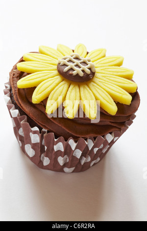 Cupcake chocolat avec massepain jaune fleur daisy sur top isolé sur fond blanc Banque D'Images