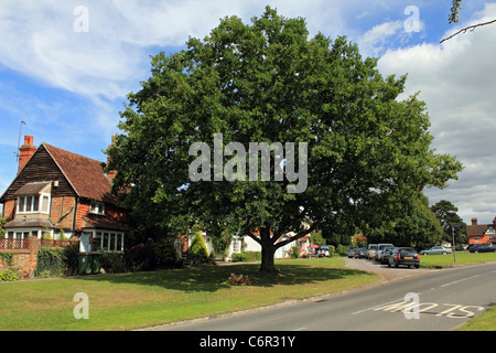 Headley est un joli village près de Dorking, Surrey England UK Banque D'Images
