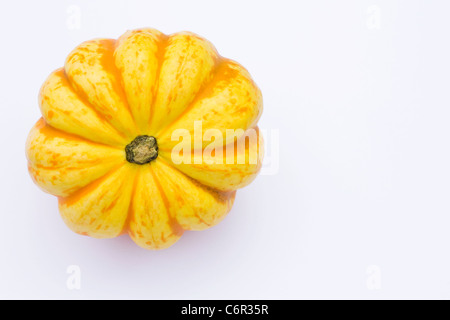 Cucurbita pepo. Courge poivrée 'Harlequin' sur un fond blanc. Banque D'Images