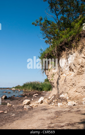 Côte raide - île de Poel, Timmendorf Strand, mer Baltique, Mecklenburg-Vorpommern, Allemagne, Europe Banque D'Images