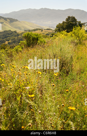 Vue depuis la route 1 entre Gaviota et Lompoc, en Californie, aux États-Unis d'Amérique Banque D'Images