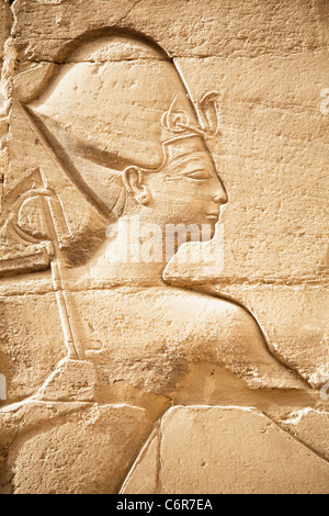 Sculpture relief sur le mur de la salle hypostyle de Karnak Temple, Luxor, Egypt Banque D'Images