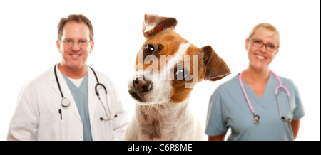 Adorable Jack Russell Terrier et les vétérinaires derrière isolé sur un fond blanc. Banque D'Images