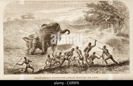 Illustration de la chasse aux autochtones avec des lances d'éléphants dans la vallée du Zambèze, à partir de l'ouvrage de David Livingstone Banque D'Images