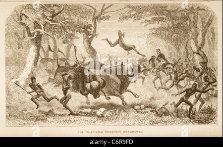 Illustration montrant une partie d'indigènes Livingstone d'accompagnement exigés par les buffles, de David Livingstone's book Banque D'Images