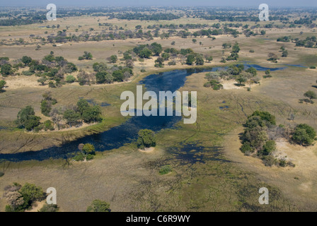Vue aérienne sur paysage avec arbres et rivière Banque D'Images