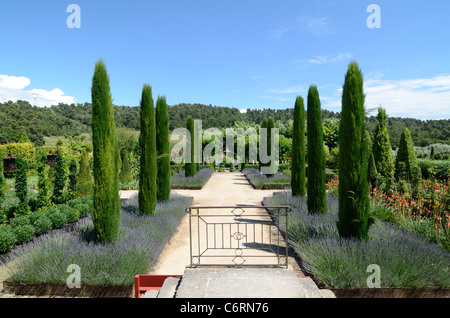 Avenue des cyprès méditerranéens, Cupressus sempervirens et chemin central au jardin et domaine de Val Joannis, Luberon, Pertuis, Provence, France Banque D'Images