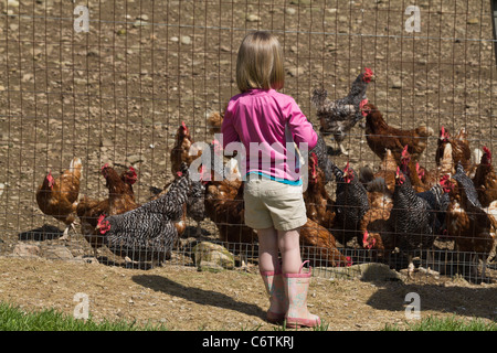 American Malabar Farm State Park petite fille et poules vivant la vie dans l'Ohio OH USA US horizontal hi-RES Banque D'Images