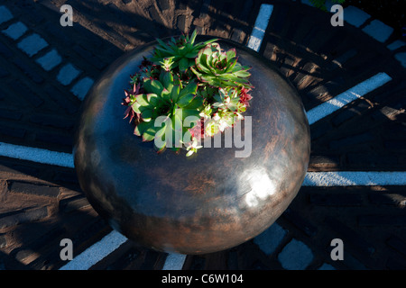 Flore attribué argent 'balance' dans le printemps 2011 de Malvern Jardinage jardin conçu par Caroline E Butler Banque D'Images