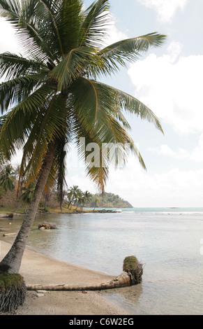 Côte des Caraïbes plage de Punta Manzanillo, Colon, Panama, région de La Guaira, près de l'Isla Grande, pendant une journée ensoleillée. Banque D'Images
