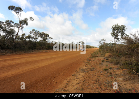 Le SEI sur un chemin de terre au large de l'Autoroute de la côte sud, Esperance Shire, Western Australia, Australia Banque D'Images