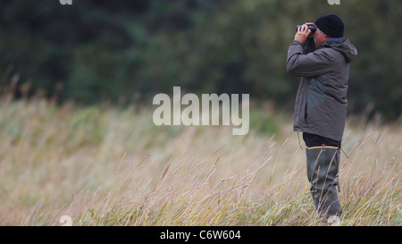 Un guide scouts un champ avec des jumelles pour l'ours brun de l'Amérique du Nord, Lake Clark National Park, Alaska, United States Banque D'Images