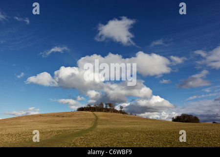 Whittenham des agrégats, près de Dorchester, Oxfordshire, Angleterre Banque D'Images