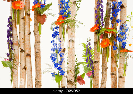 Attribué or & meilleure exposition dans le Floral Design Studio : NAFAS, Tatton Park RHS Flower show 2011 Cheshire Banque D'Images