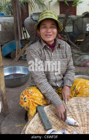 Femme vendant du poisson, à un marché en bordure de village à Phnom Leap, près de Siem Reap, Cambodge Banque D'Images