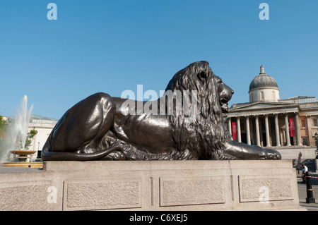 Trafalgar Square Londres,Angleterre,Lion,UK Banque D'Images