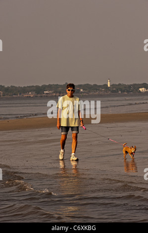 Une dame marche son chien sur la plage Banque D'Images