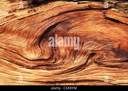 Tordus et érodée texture de fond en similibois Banque D'Images