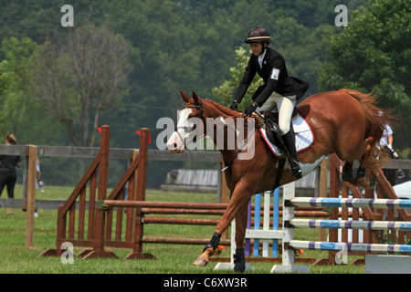 Woman riding horse jumping clôture en événement équestre. Banque D'Images