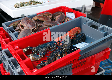 Homard et crabe en vente sur un étal de marché à St Gilles Croix de vie, Vendee France Banque D'Images