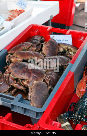 Le crabe en vente sur un étal de marché à St Gilles Croix de vie, Vendee France Banque D'Images