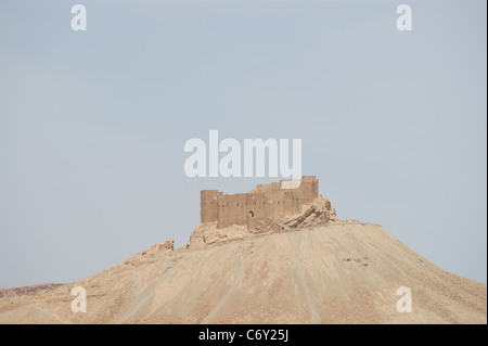 Dans l'ancienne citadelle Palmyra, Syrie. Banque D'Images