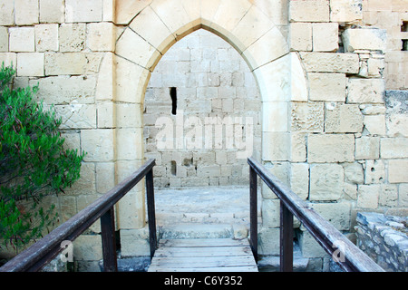 Château de colosse à Chypre Banque D'Images