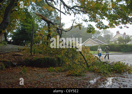 Les travailleurs de la maison de soins de Langland sur Brynfield Road dans le district de Langland sondage Swansea les dommages à l'écrasement d'un arbre. Banque D'Images