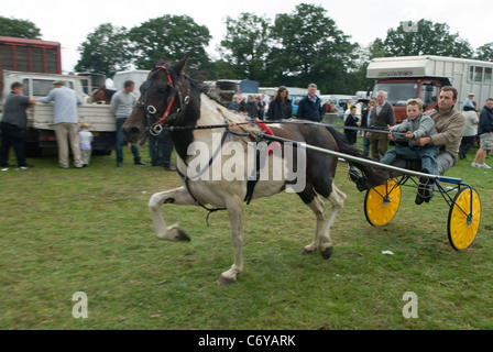 Barnet Gypsy Horse Fair Hertfordshire Royaume-Uni. Père et fils montrant un poney trotting thats à vendre. années 2010 2011. En 1588, la reine Elizabeth I accorde à Bartnet une charte royale pour tenir une foire. HOMER SYKES Banque D'Images