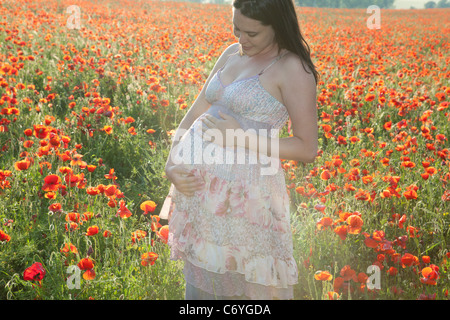 Pregnant woman holding her belly Banque D'Images