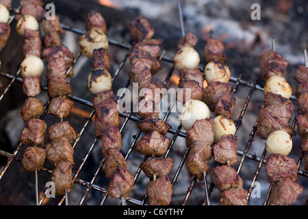 Brochettes de boeuf shish kebab la cuisson à un feu de camp à chaud. Banque D'Images