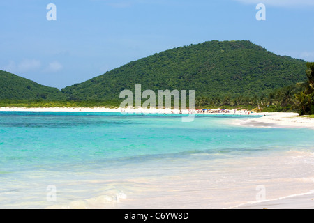 La magnifique plage de sable blanc de Flamenco au sur l'île portoricaine de Vieques. Banque D'Images