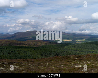 FYRISH DH ROSS HILL Vue Cromarty de Cnoc Fyrish campagne Highland Banque D'Images