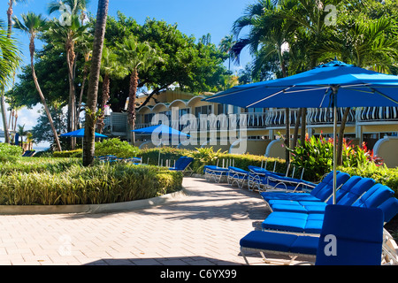 Une rangée de chaises longues et de parasols bleus dans un cadre tropical. Banque D'Images