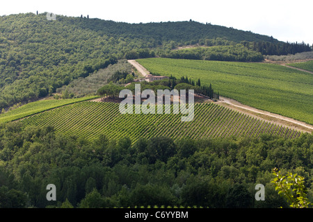 Vignes, collines et champs cultivés dans la région du Chianti, Toscane, Italie Banque D'Images